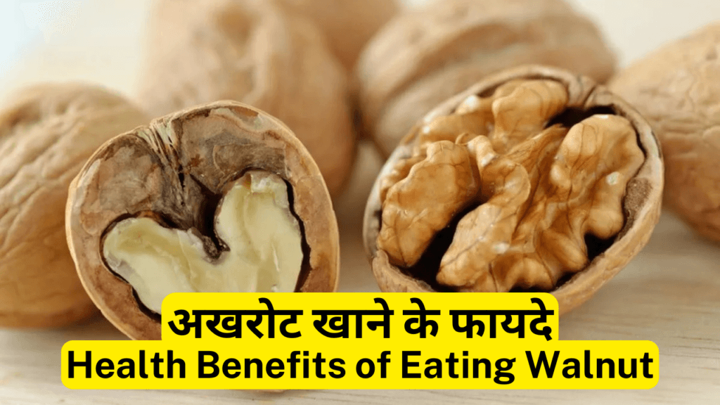अखरोट-Walnut खाने के फायदे, तरीके और नुकसान  10 Best Health Benefits of Eating Walnut