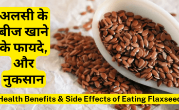 अलसी के बीज-Flaxseed खाने के फायदे, तरीके और नुकसान 10 Best Health Benefits of Eating Flaxseed