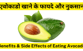 एवोकाडो-Avocado खाने के फायदे, तरीके और नुकसान 10 Best Health Benefits of Eating Avocado