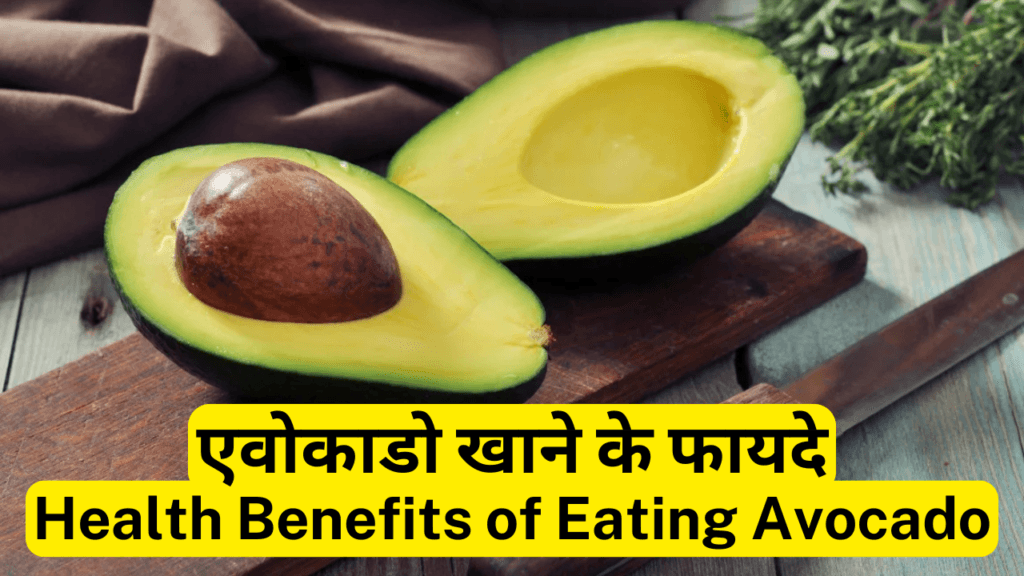 एवोकाडो-Avocado खाने के फायदे, तरीके और नुकसान  10 Best Health Benefits of Eating Avocado