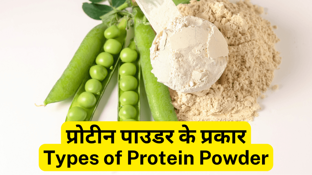 प्रोटीन पाउडर Protein Powder क्या है फायदे, उपयोग और नुकसान Protein Powder, Best Benefits, Uses and Side Effects.