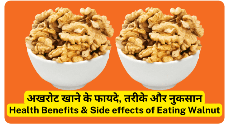 अखरोट-Walnut खाने के फायदे, तरीके और नुकसान 10 Best Health Benefits of Eating Walnut